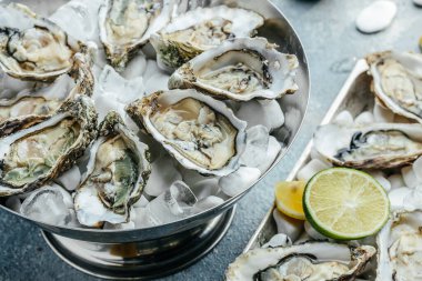 Metal bakır tabakta limon, buz ve limon ile açılmış istiridye. Restoranda istiridye yemeği. afiş, menü, tarif, üst görünüm.