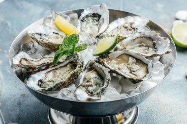 Yuvarlak tabakta limonlu taze istiridye. Deniz ürünleri yemeği. Yarım kabuklu istiridye. Restoran menüsü, diyet, yemek kitabı tarifi..