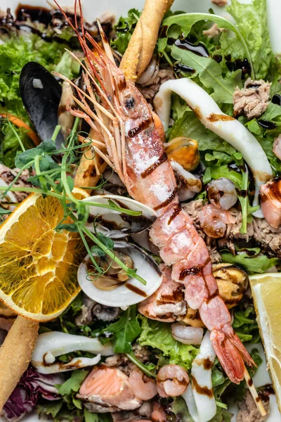 Izgara Karides Taze Sebze Salatası Yumurta Taze Deniz Ürünleri Salatası — Stok fotoğraf
