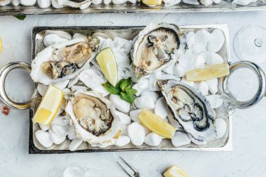 Buz ve limonlu beyaz tabakta taze istiridye. Restoranda şampanyayla istiridye yemeği. en üstteki görünüm.