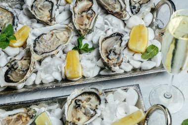 Buzlu ve limonlu istiridye. Restoranda şampanyayla istiridye yemeği. en üstteki görünüm.