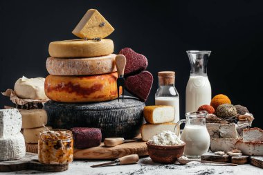 Koyu arkaplanda farklı ev yapımı peynirler. Çiftçi pazarı. afiş, menü, metin için tarif yeri.