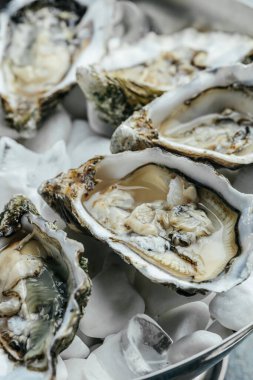 Mavi arka planda buzlu ve limonlu taze istiridye, sağlıklı yiyecekler, gurme yemekler. Restoranda istiridye yemeği. en üstteki görünüm.