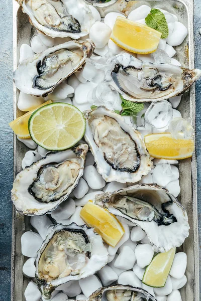 stock image Oysters platter with lemon, lime and ice. Healthy food, gourmet food. Oyster dinner in restaurant.