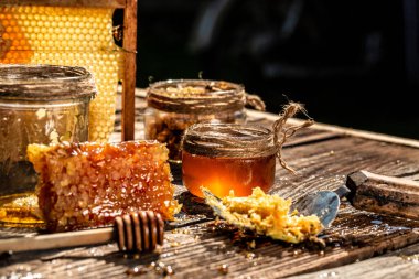 Bal peteğindeki arı kovanının makro fotoğrafı. Arılar taze ve sağlıklı üretirler, tatlım. Bal geçmişi. Arıcılık konsepti.
