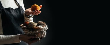 Ellerinde çeşitli peynir türleri var. Peynir üreticisi, çarklı sert peynirin, lezzetli süt ürününün çeşnisini kontrol eder. Uzun pankart biçimi.