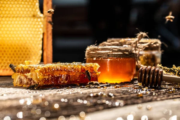 Bal Peteğindeki Arı Kovanının Makro Fotoğrafı Arılar Taze Sağlıklı Üretirler — Stok fotoğraf