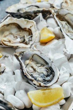 Limon ve buzlu taze istiridye. Restoran lezzeti. İstiridye yemeği. Restoranda şampanyayla istiridye yemeği, pankart, menü, metin için tarif yeri, üst görünüm,