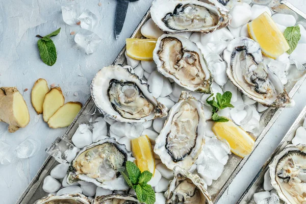 Fresh oysters with lemon and ice. Restaurant delicacy. oysters dish. Oyster dinner with champagne in restaurant, banner, menu, recipe place for text, top view,