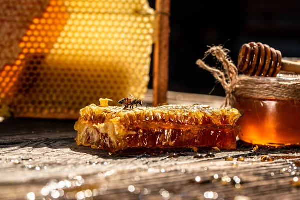 Close Working Bees Honey Cells Bees Produce Fresh Healthy Honey — Stock Photo, Image