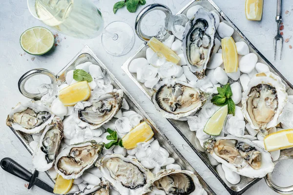 Fresh oysters with lemon and ice. Restaurant delicacy. oysters dish. Oyster dinner with champagne in restaurant, banner, menu, recipe place for text, top view,