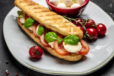 Lezzetli kahvaltı Caprese Panini Sandviçi, domates, mozzarella ve fesleğen, temiz yemek, diyet, vegan gıda konsepti. en üstteki görünüm.