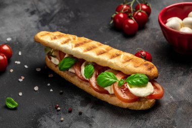 Domatesli, mozarella ve fesleğenli, Caprese Panini Sandviçi ile kızartılmış panini caprese. Lezzetli kahvaltı ya da atıştırmalık, temiz yemek, diyet, vejetaryen yemek konsepti. en üstteki görünüm.