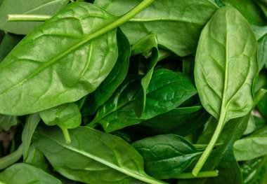 Ispanağı kapat. Çiğ organik taze ıspanak yaprakları koyu arkaplanda metal bir kasede. Yemek tarifi geçmişi, üst görünüm..