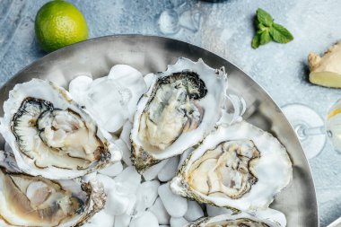 Limon ve buzlu taze istiridye. Restoran lezzeti. İstiridye yemeği. Restoranda şampanyayla istiridye yemeği, pankart, menü, metin için tarif yeri, üst görünüm,