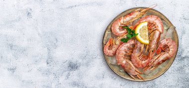 Buzlu ve limonlu kırmızı Arjantin karidesleri, vahşi karidesler, açık arkaplanda okyanus karidesleri. Uzun afiş biçimi. en üstteki görünüm.