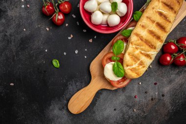 Domatesli, mozarella ve fesleğenli, Caprese Panini Sandviçi ile kızartılmış panini caprese. Lezzetli kahvaltı ya da atıştırmalık, temiz yemek, diyet, vejetaryen yemek konsepti. en üstteki görünüm.