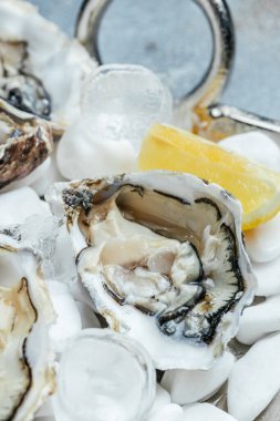 Limon ve buzlu taze istiridye. Restoran lezzeti. İstiridye yemeği. Restoranda şampanyayla istiridye yemeği, pankart, menü, metin için tarif yeri, üst görünüm,