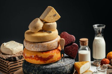 Koyu arkaplanda farklı ev yapımı peynirler. Çiftçi pazarı. afiş, menü, metin için tarif yeri.