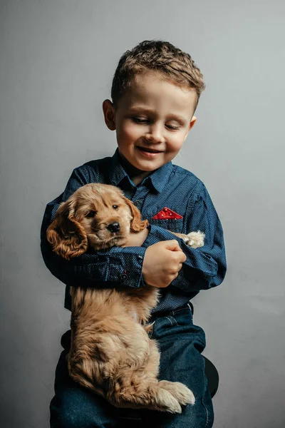 Cute Friends Lovingly Pet Dog Puppy Russian Cocker Spaniel Boy — стоковое фото