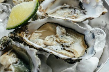 Yuvarlak tabakta limonlu taze istiridye. Deniz ürünleri yemeği. Yarım kabuklu istiridye. Restoran menüsü, diyet, yemek kitabı tarifi..