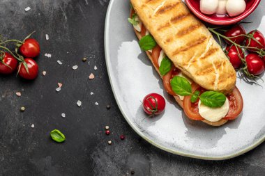 Domatesli panini caprese, mozzarella ve fesleğen, Caprese Panini Sandviçi. Lezzetli kahvaltı ya da atıştırmalık, temiz yemek, diyet, vejetaryen yemek konsepti. en üstteki görünüm.
