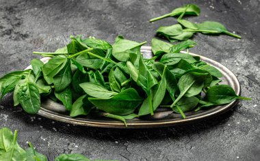 Ispanak. Çiğ organik taze ıspanak yaprakları koyu arkaplanda metal bir kasede. afiş, menü, metin için tarif yeri, üst görünüm.