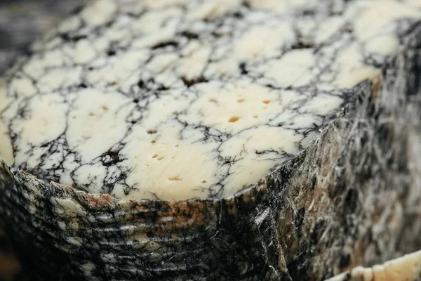 Asiago Italian Cheese Cuttlefish Ink Wooden Board Food Recipe Background — Stockfoto
