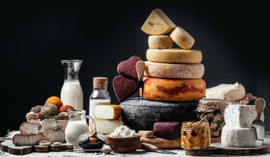 Çeşit çeşit peynir. Koyu bir arka planda el yapımı sert peynirin başı.