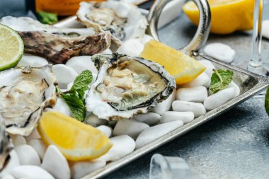 Limon ve buzlu taze istiridye. Restoran lezzeti. İstiridye yemeği. Restoranda şampanyayla istiridye yemeği, pankart, menü, metin için tarif yeri, üst görünüm,