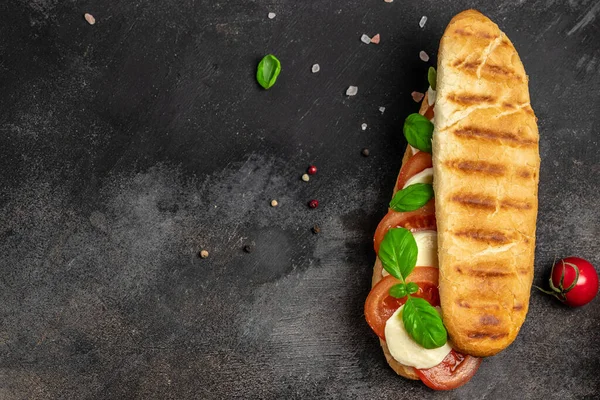 Wyciskane Opiekane Panini Caprese Pomidorem Mozzarellą Bazylią Caprese Panini Sandwich — Zdjęcie stockowe