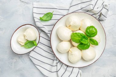 Peynir koleksiyonu, beyaz İtalyan peynirli mozzarella topları, arka planda taze fesleğen yapraklarıyla servis edilmiş, yazı için yer, üst manzara.,