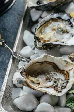 Yarım kabuklu istiridye. Kokteyl soslu taze istiridye ve taze limon. Restoranda istiridye yemeği. dikey görüntü. en üstteki görünüm.