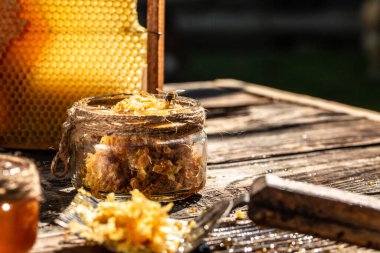 Kapatın. Bal hücreleri üzerinde çalışan arılar. Arılar taze ve sağlıklı üretirler, tatlım. Bal geçmişi. Arıcılık konsepti. Uzun pankart biçimi.