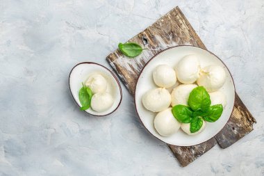 Peynir koleksiyonu, arka planda taze fesleğen yapraklı yumuşak İtalyan peynirli mozzarella topları. Uzun afiş biçimi. en üstteki görünüm.