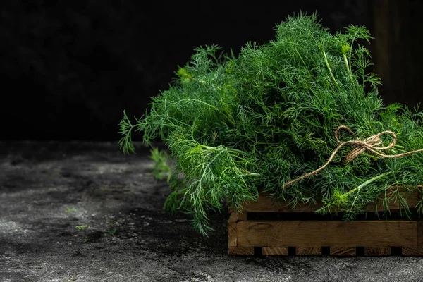 Taze dereotu koyu arka plandaki ahşap kutuya kapatın, organik, sağlıklı, ething doğal ürün porsiyonunu dondurmak için hazırlık yapın. metin için yer.