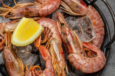 Karidesleri, karidesleri kapatın. Buzlu deniz ürünleri, kırmızı Arjantin karidesleri, vahşi karidesler, okyanus jumbo karidesleri. Yemek tarifi geçmişi. en üstteki görünüm.