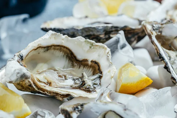 Açık istiridye, buz ve limon tepsisi. Restoran menüsü, diyet, yemek kitabı tarifi..