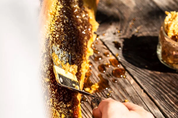 Méhész Gyűjti Mézet Méhészeti Szerszámok Odakint Keret Méhviasz Szerkezete Tele — Stock Fotó