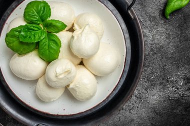 Peynir koleksiyonu, beyaz İtalyan peynirli mozzarella topları koyu bir arka planda taze fesleğen yaprakları ile servis ediliyor.,
