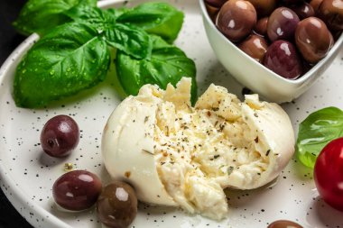 İtalyan burrata peyniri, beyaz burrata topları veya burratina peyniri fesleğen ve zeytinyağı ve ciabatta. metin için yer, üst görünüm.