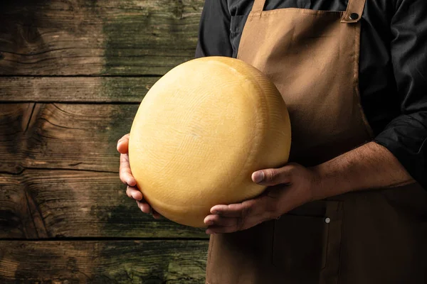 Peynir Üreticisinin Elinde Bir Kafa Dolusu Sert Peynir Lezzetli Süt — Stok fotoğraf