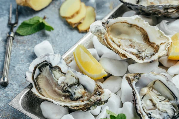 Opened oysters, ice on metal tray with lemon and ice. Restaurant menu, dieting, cookbook recipe.