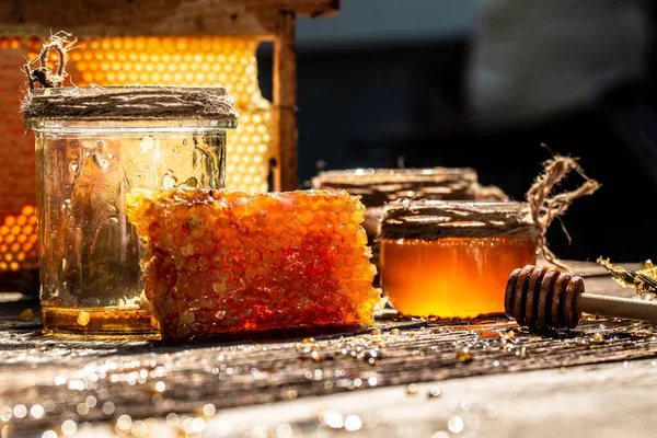 Macro photo of a bee hive on a honeycomb. Bees produce fresh, healthy, honey. Honey background. Beekeeping concept. Long banner format.