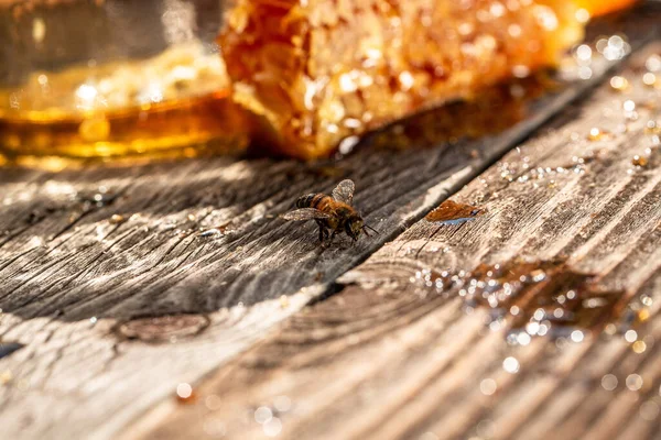 Macro photo of a bee hive on a honeycomb. Bees produce fresh, healthy, honey. Honey background. Beekeeping concept. Long banner format.