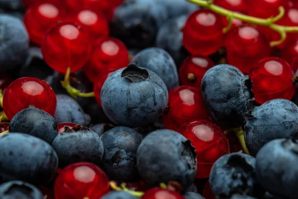 Fresh Berries Close Blueberry Red Currant Background Texture Berries — Stock Fotó