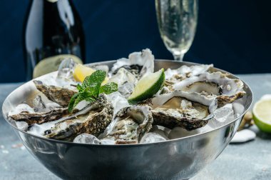 Limon ve buzlu taze istiridye. Restoran lezzeti. İstiridye yemeği. Restoranda şampanyayla istiridye yemeği, pankart, menü, metin için tarif yeri, üst görünüm,
