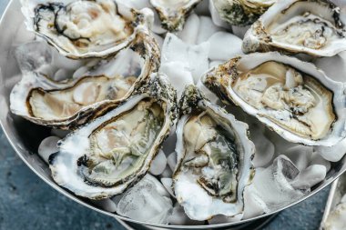 Şarap, limon ve buzlu istiridye. İstiridye yemeği. Restoranda şampanyayla istiridye yemeği. afiş, menü, metin için tarif yeri, üst görünüm.