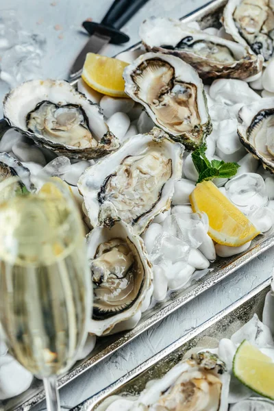 Oysters plate with lemon and champagne in restaurant. Oysters with lemon. vertical image. top view. place for text.