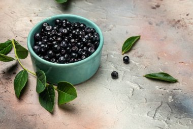Wild berries, Northern berry: lingonberry, blueberry, Bowl of fresh maqui berry on light background, top view.